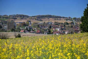 Vue depuis un champs de belles fleurs jaunes sur la commune de Baigts.