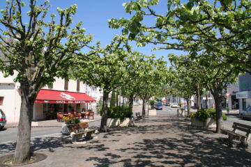 Vue du centre-ville d'Artix avec de beaux arbres verdoyants, un café et une pharmacie.
