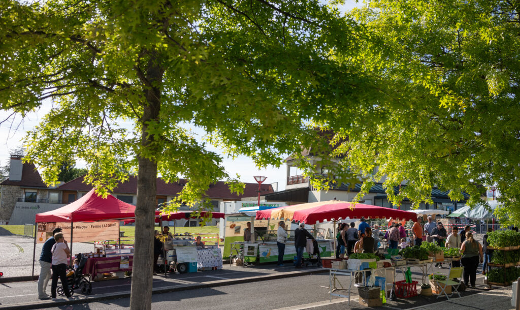 Vue d'une partie d'un des marchés locaux à l'ombre des arbres avec des exposants de fruits et légumes, fromages, etc. - Agrandir l'image, fenêtre modale
